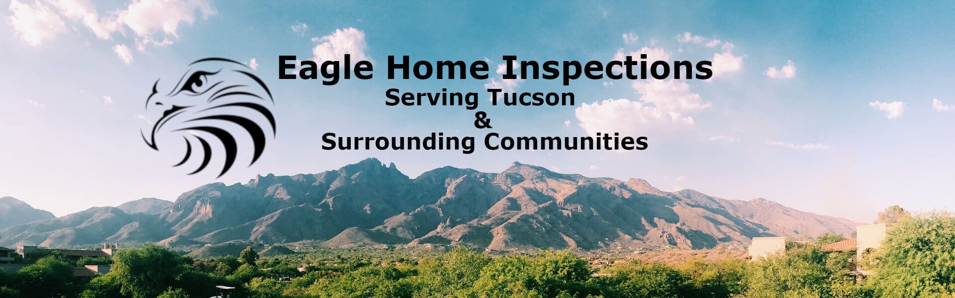 Eagle Home Inspections Home